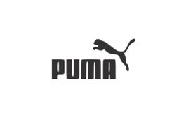 PUMA success story: revenue growth of more than 100% from organic traffic and 30% from contextual advertising